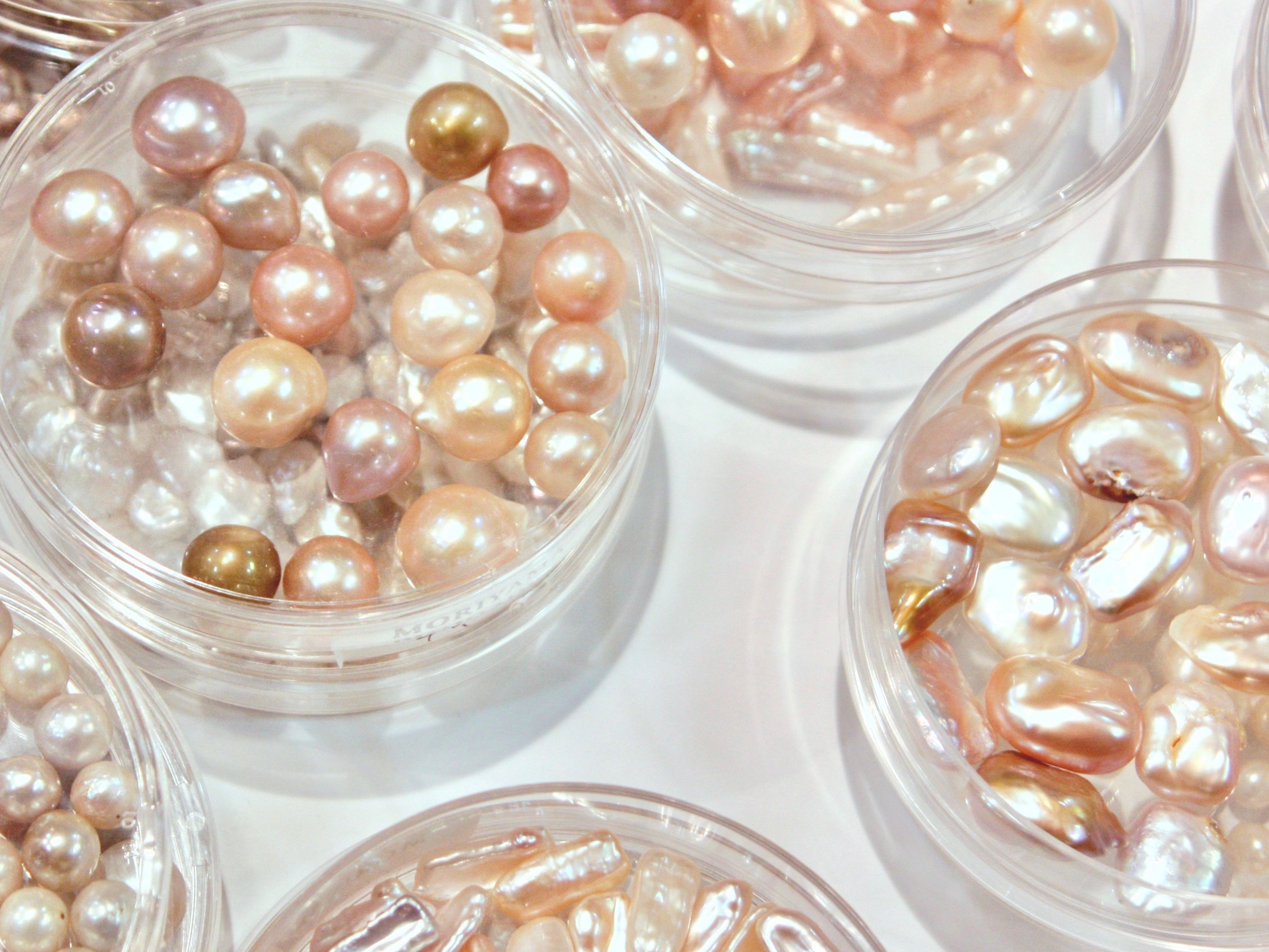 8/04/d47 MUSEUM/D&DEPARTMENT PROJECT/d SCHOOL「わかりやすい淡水